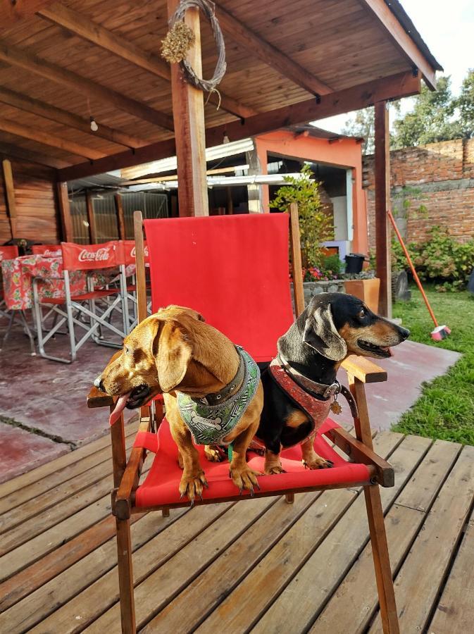 Cabana La Herencia Villa San Salvador de Jujuy Kültér fotó